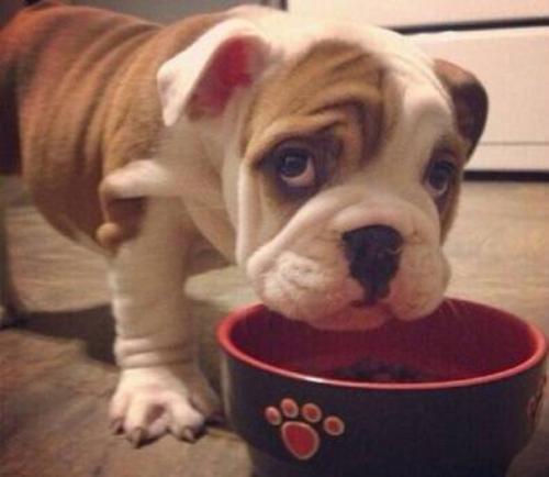 ע¾ҵ̬ְҵѡ չǰ